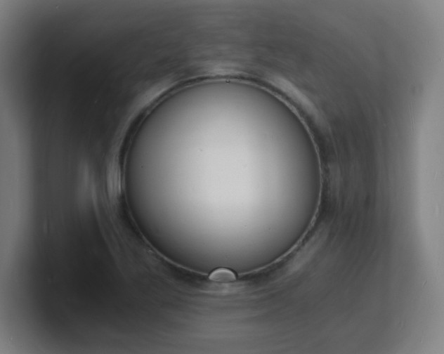 X0000101671269200807171328