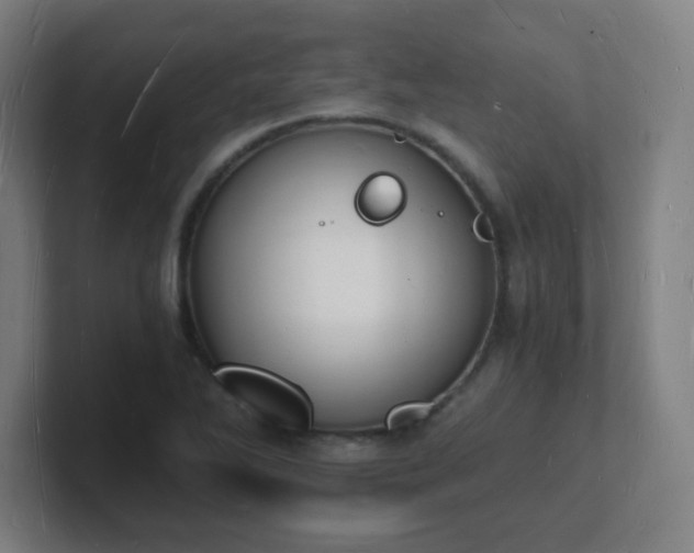 X0000101671270200807171328