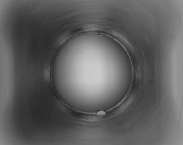X0000101671273200807171328