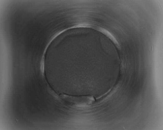 X0000101671276200807171328
