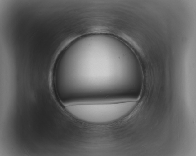 X0000101671277200807171328