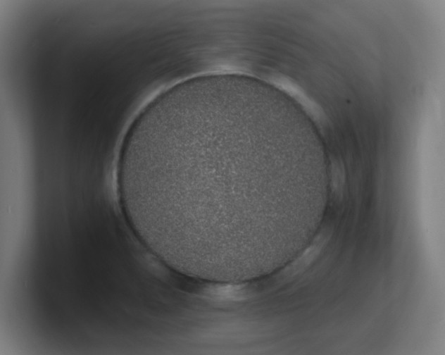 X0000101671278200807171328