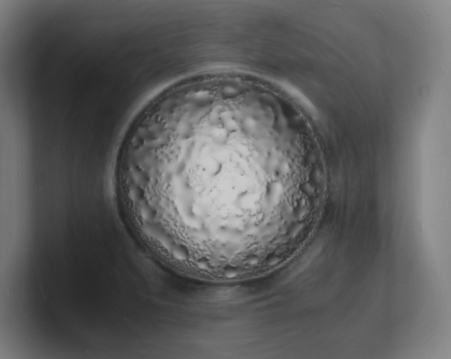 X0000101671279200807171328