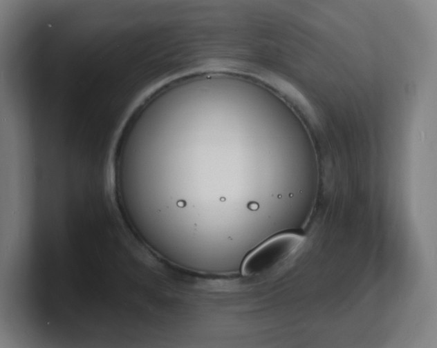 X0000101671280200807171328