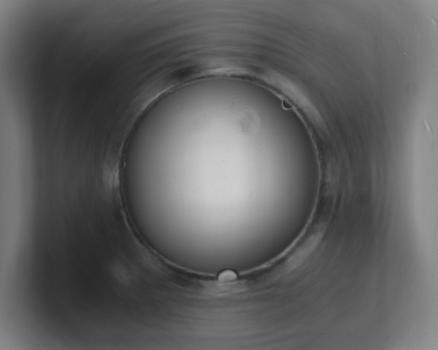 X0000101671281200807171328
