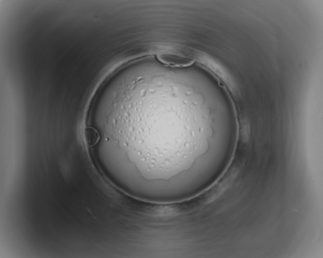 X0000101671283200807171328