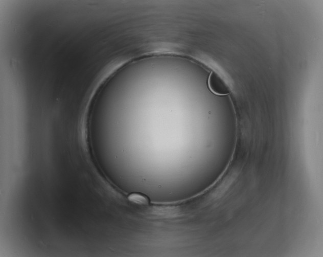X0000101671285200807171328
