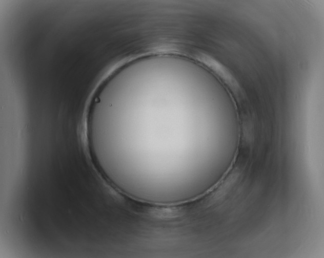 X0000101671286200807171328