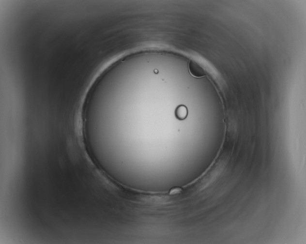 X0000101671287200807171328