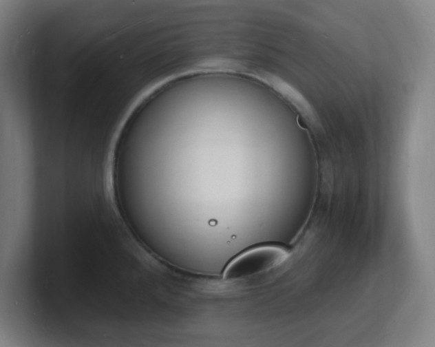 X0000101671288200807171328