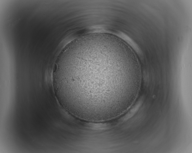 X0000101671289200807171328