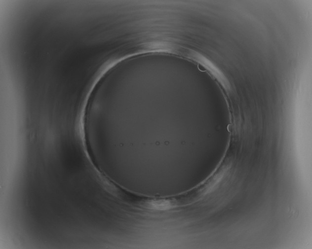 X0000101671291200807171328