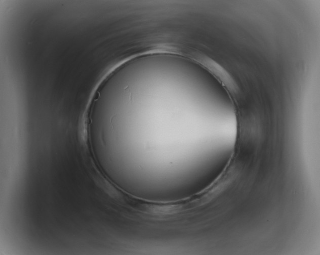 X0000101671292200807171328