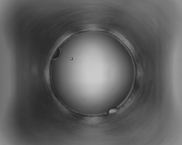 X0000101671293200807171328
