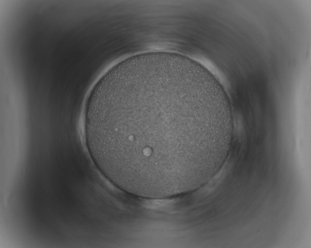 X0000101671294200807171328