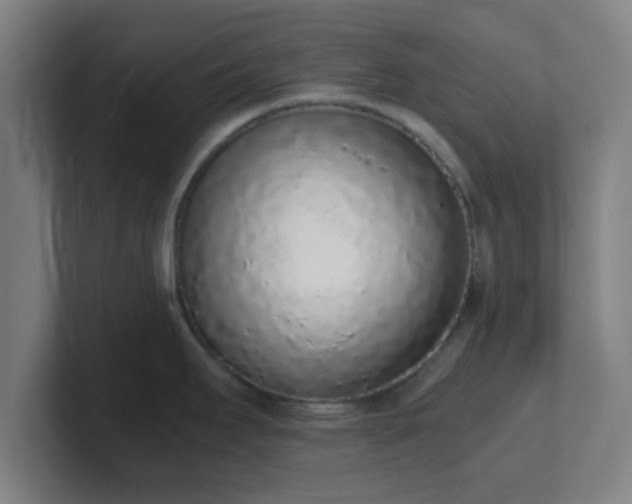X0000101671295200807171328
