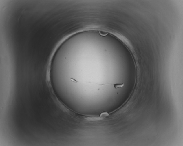 X0000101671296200807171328