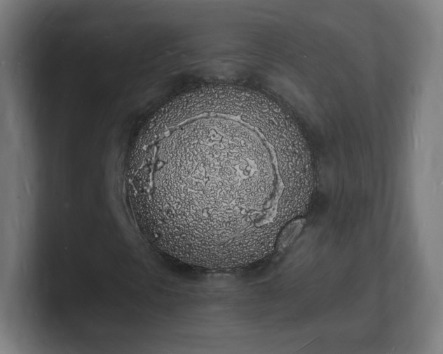 X0000101671297200807171327