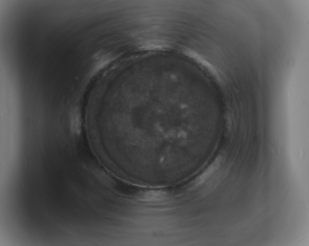 X0000101671306200807171327