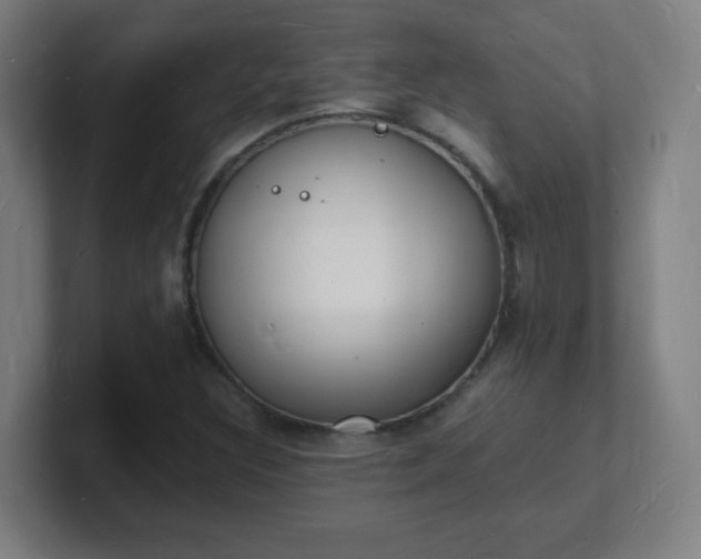 X0000101671308200807171327