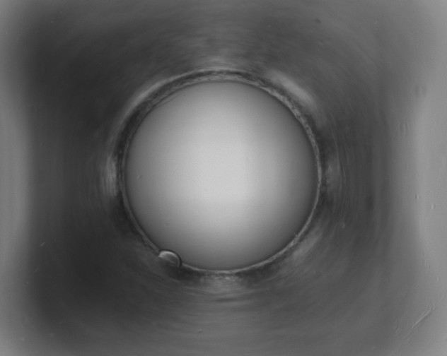 X0000101671310200807171327