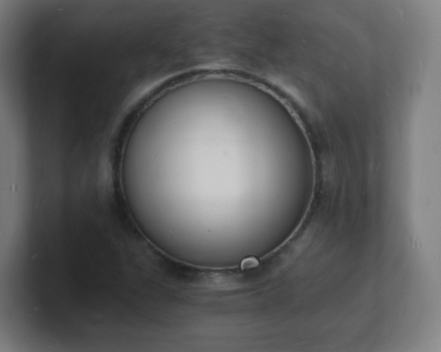 X0000101671311200807171327