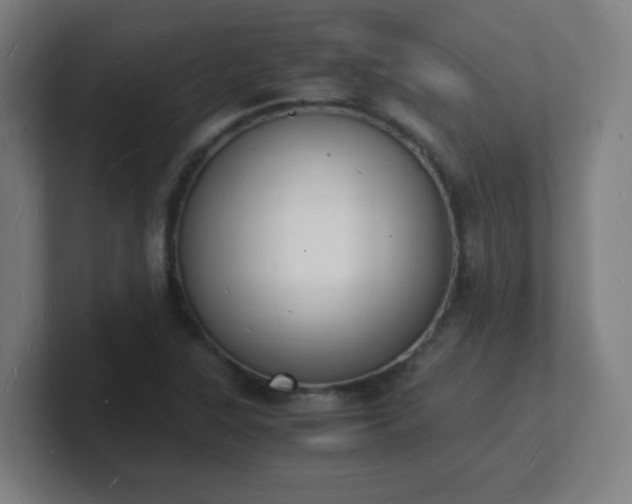 X0000101671315200807171327