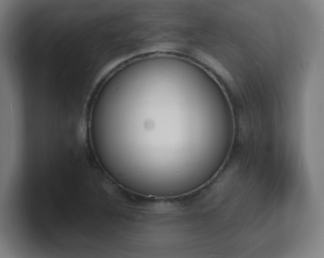 X0000101671316200807171327