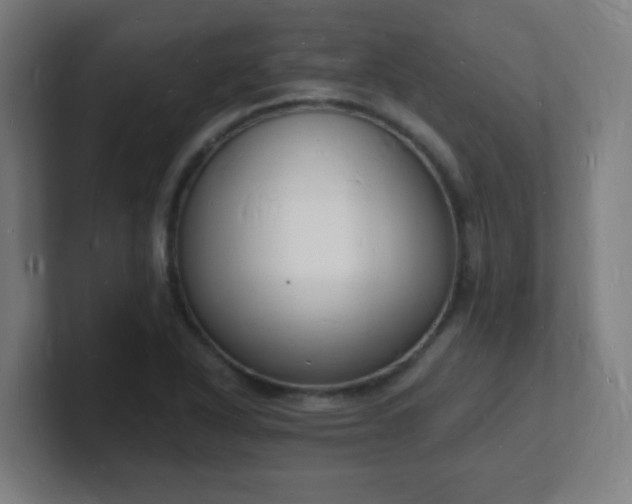 X0000101671318200807171327