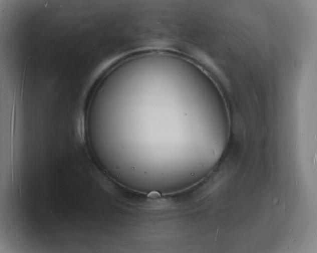 X0000101671320200807171327