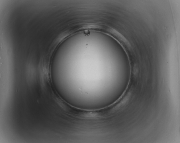 X0000101671321200807171327