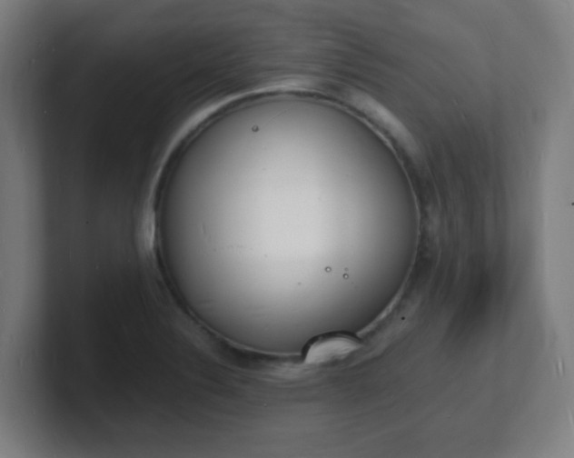 X0000101671324200807171327
