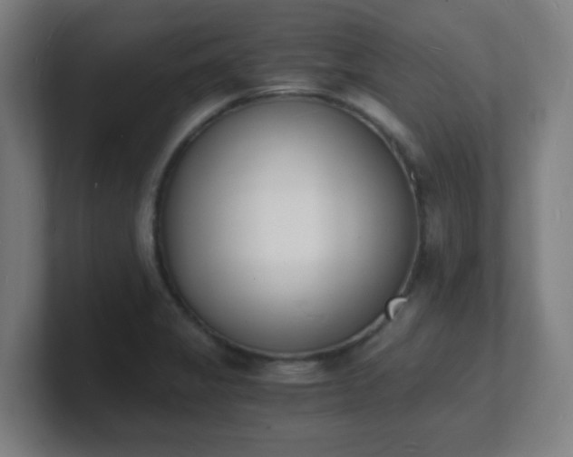 X0000101671325200807171327