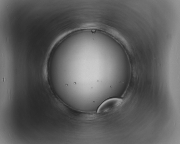 X0000101671328200807171327
