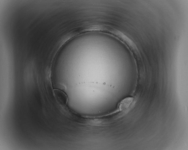 X0000101671329200807171327