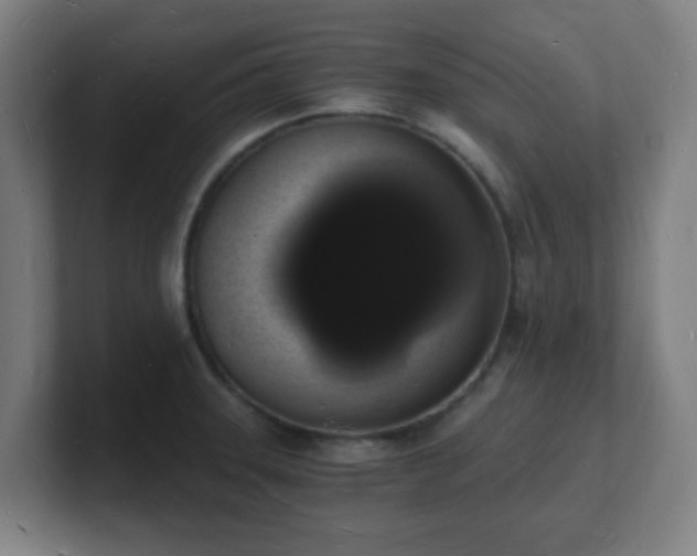 X0000101671331200807171327