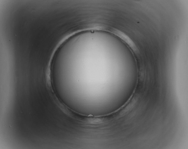 X0000101671332200807171327