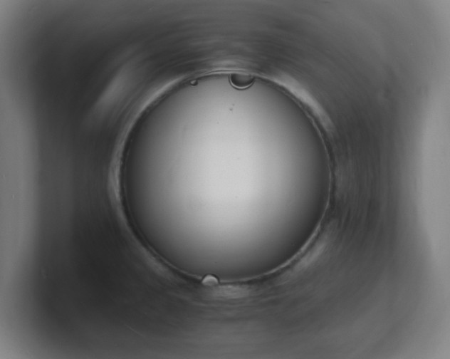 X0000101671333200807171327