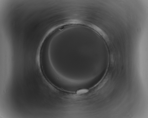 X0000101671334200807171327