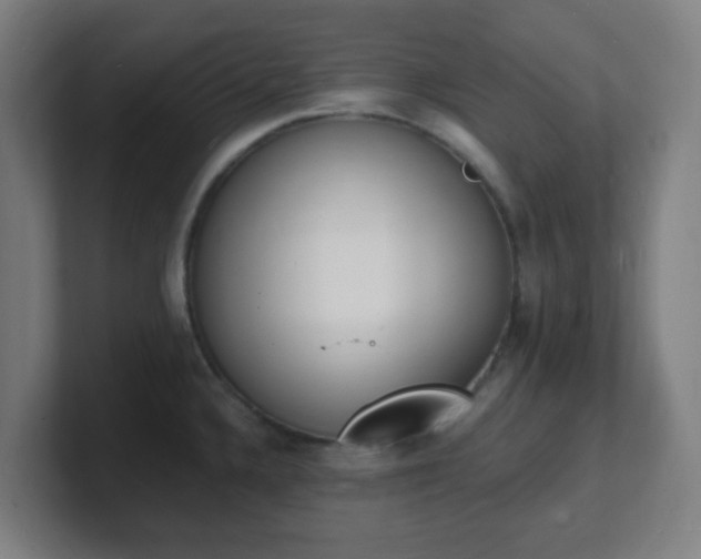 X0000101671336200807171327