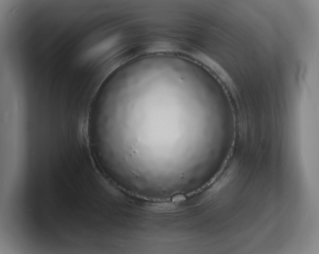X0000101671337200807171327