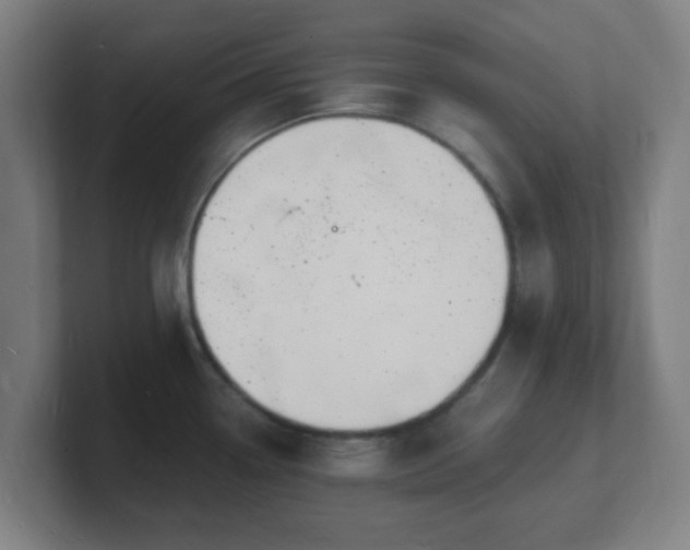X0000101671338200807171327