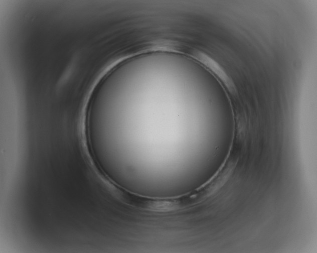 X0000101671339200807171327