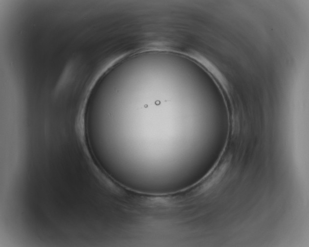 X0000101671341200807171328