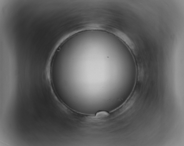 X0000101671342200807171328