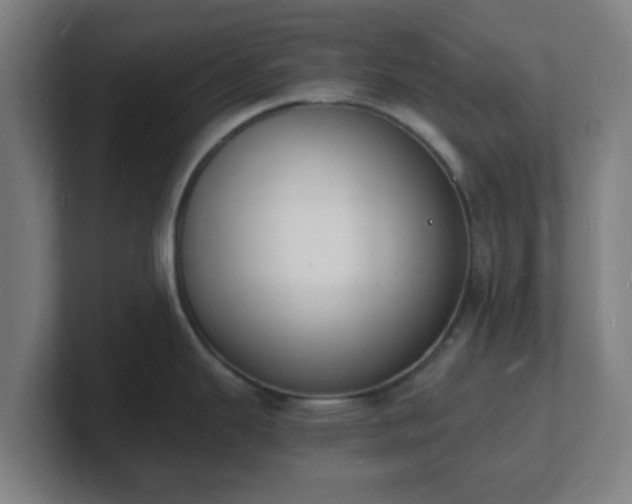 X0000101671343200807171328