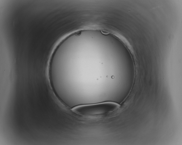 X0000101671344200807171328