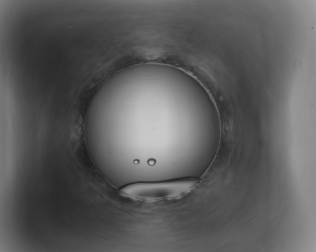 X0000101671349200807171327