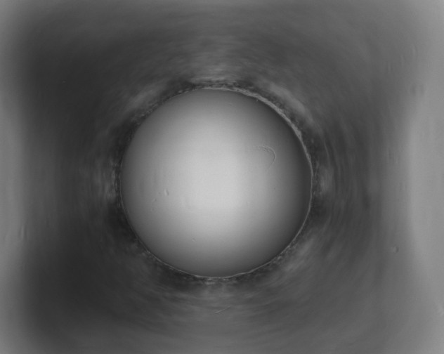 X0000101671350200807171327