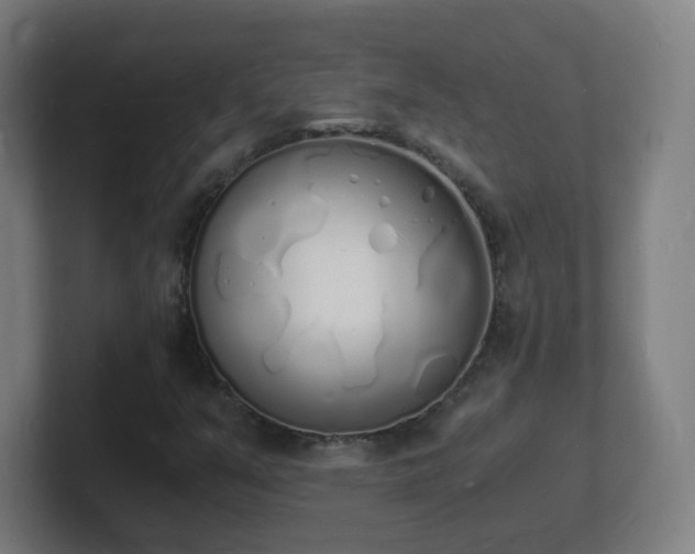 X0000101671351200807171327